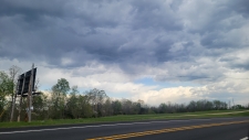 Listing Image #2 - Others for sale at 396 Highway 63, Ravenden AR 72459