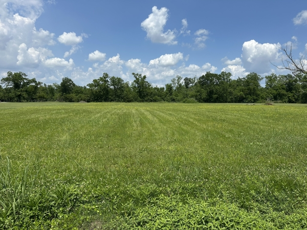 Listing Image #1 - Land for sale at 4145 Bowden Rd, Geismar LA 70734