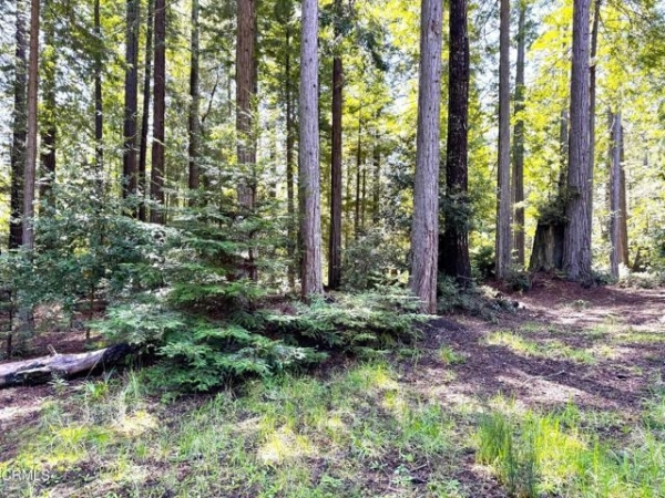 Listing Image #3 - Land for sale at 43700 Tibbens Lane, Mendocino CA 95460