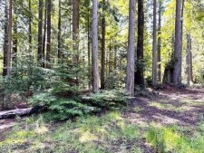 Listing Image #3 - Land for sale at 43700 Tibbens Lane, Mendocino CA 95460