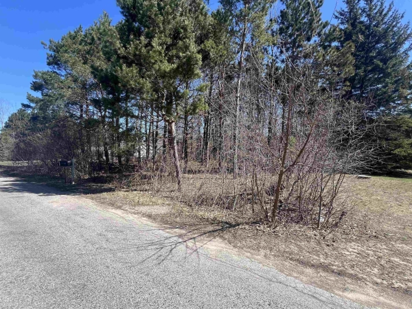 Listing Image #2 - Land for sale at Applewood Lane, Williamsburg MI 49690