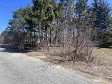 Listing Image #2 - Land for sale at Applewood Lane, Williamsburg MI 49690