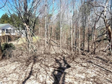 Listing Image #3 - Land for sale at Applewood Lane, Williamsburg MI 49690