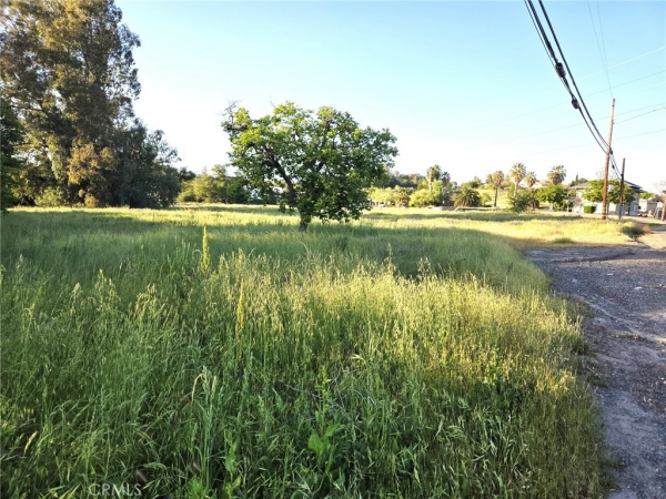 Listing Image #2 - Land for sale at Oro Dam, Oroville CA 95966