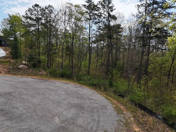 Listing Image #3 - Land for sale at 129 Red Hawk Lane, Ellijay GA 30540