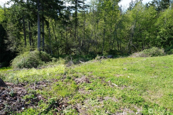 Listing Image #3 - Land for sale at 12412 98TH AVENUE CT, GIG HARBOR WA 98329