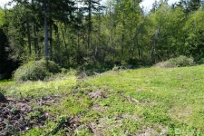 Listing Image #3 - Land for sale at 12412 98TH AVENUE CT, GIG HARBOR WA 98329