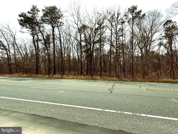Listing Image #2 - Others for sale at 0 W White Horse Pike, Galloway NJ 08205