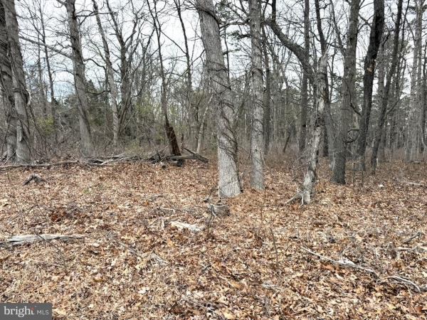 Listing Image #3 - Others for sale at 0 W White Horse Pike, Galloway NJ 08205