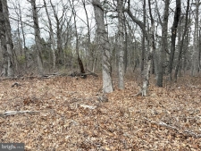 Listing Image #3 - Others for sale at 0 W White Horse Pike, Galloway NJ 08205