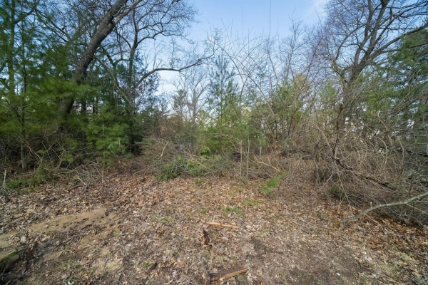Listing Image #3 - Others for sale at 0 Nelson Street, Manistee MI 49660