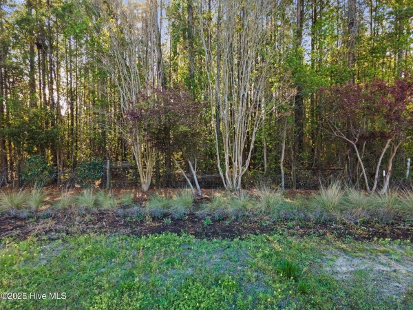 Listing Image #2 - Others for sale at 10201 Ocean Highway W, Calabash NC 28467