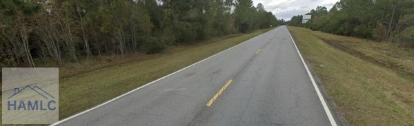 Listing Image #2 - Land for sale at 56.16 AC West 15th Street, Hinesville GA 31313