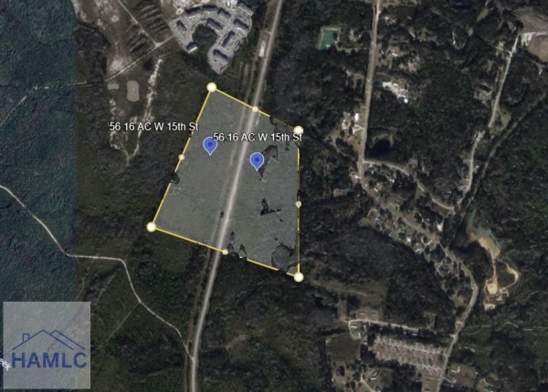 Listing Image #3 - Land for sale at 56.16 AC West 15th Street, Hinesville GA 31313