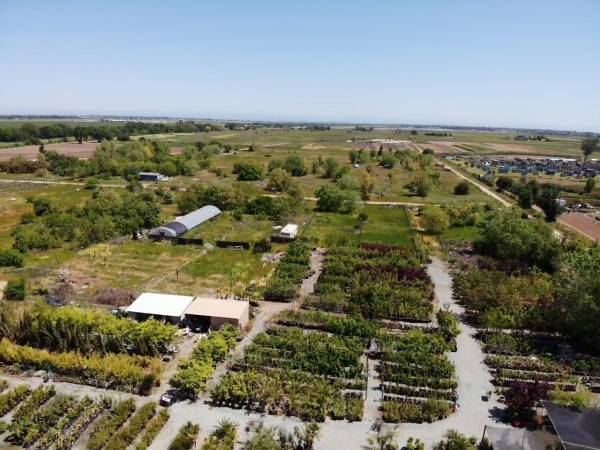 Listing Image #1 - Others for sale at 12351 E Stockton Boulevard, Galt CA 95632