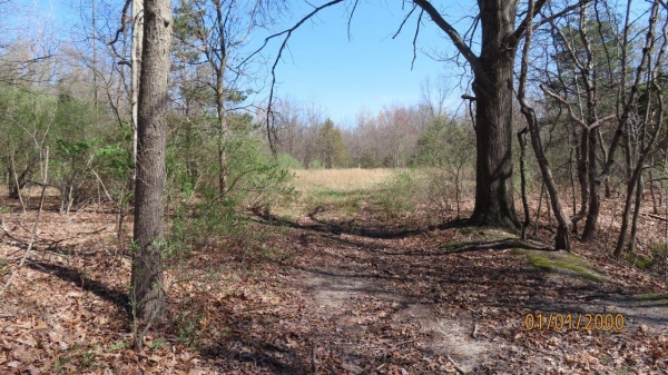 Listing Image #2 - Others for sale at V / L Redfield, Edwardsburg MI 49112