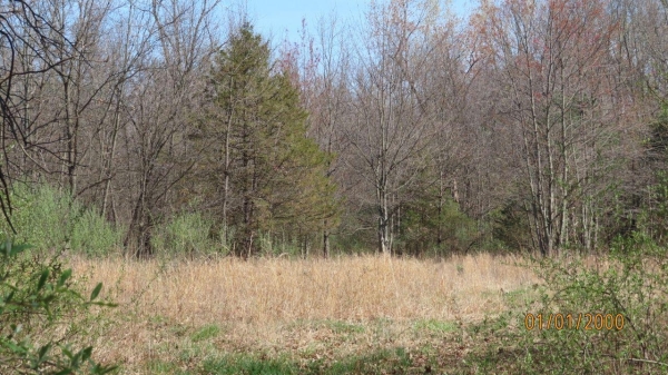 Listing Image #3 - Others for sale at V / L Redfield, Edwardsburg MI 49112
