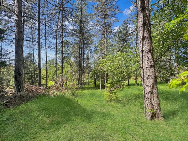 Listing Image #1 - Land for sale at 44 Woolley Road, Colfax CA 95713