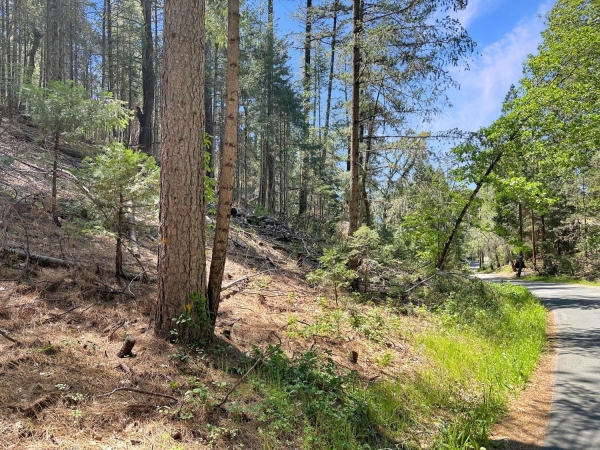 Listing Image #1 - Land for sale at 1111 Norton Grade, Colfax CA 95713 Listing Image #1 - Land for sale at 1111 Norton Grade, Colfax CA 95713