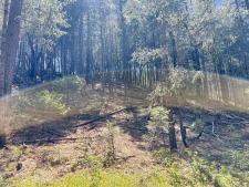 Listing Image #3 - Land for sale at 1111 Norton Grade, Colfax CA 95713 Listing Image #3 - Land for sale at 1111 Norton Grade, Colfax CA 95713