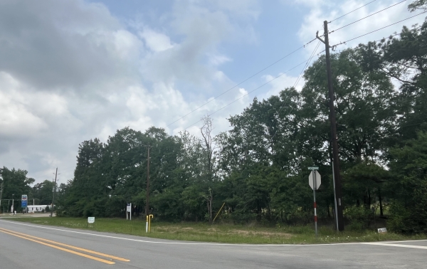 Listing Image #2 - Others for sale at 41702 Woodway, Magnolia TX 77354