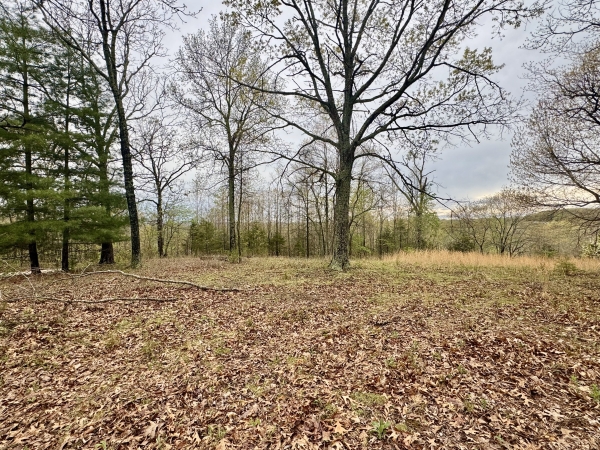 Listing Image #2 - Land for sale at TBD State Highway U, Mansfield MO 65704