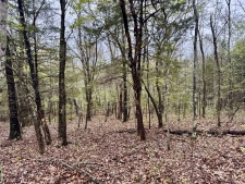 Land property for sale in Mansfield, MO