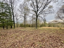 Listing Image #2 - Land for sale at TBD State Highway U, Mansfield MO 65704