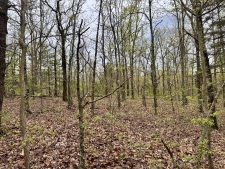 Listing Image #3 - Land for sale at TBD State Highway U, Mansfield MO 65704