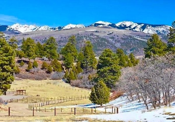 Listing Image #3 - Others for sale at 7833 Rd 46, Mancos CO 81328