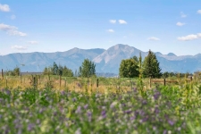 Land for sale in Durango, CO