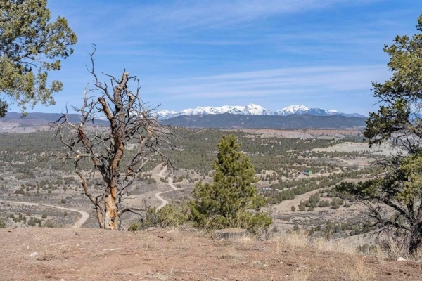 Listing Image #2 - Land for sale at 719 Rancho Durango Road, Durango CO 81303