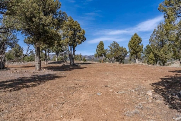 Listing Image #3 - Land for sale at 719 Rancho Durango Road, Durango CO 81303