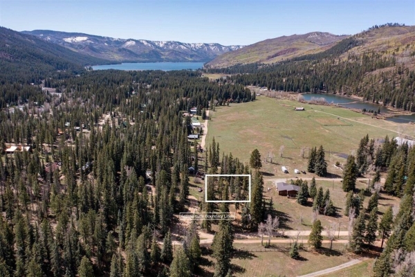 Listing Image #1 - Land for sale at TBD Ponderosa Lane, Bayfield CO 81122