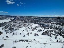 Land property for sale in Mancos, CO
