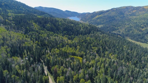 Listing Image #1 - Land for sale at 210 Grizzly Lane, Durango CO 81301