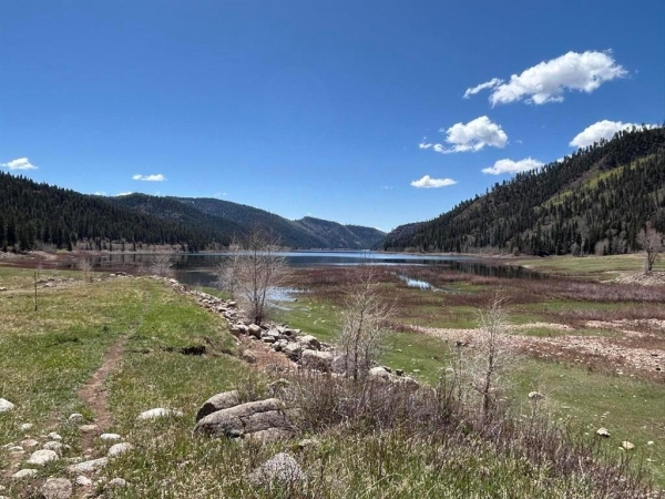 Listing Image #3 - Land for sale at 210 Grizzly Lane, Durango CO 81301