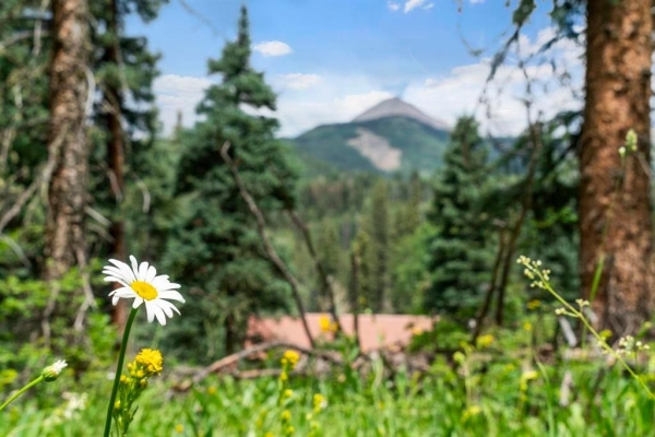Listing Image #1 - Land for sale at TBD County Road 1 (lime Creek Road, Durango CO 81301