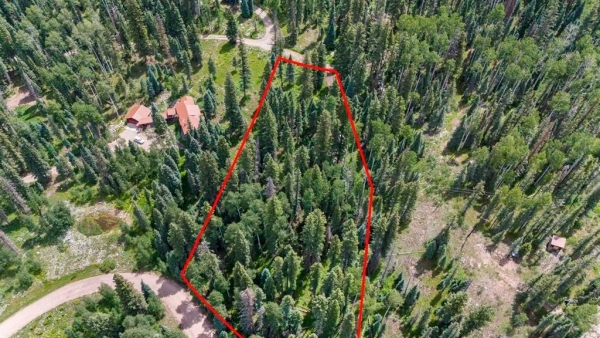 Listing Image #2 - Land for sale at TBD County Road 1 (lime Creek Road, Durango CO 81301