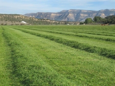 Land property for sale in Cortez, CO