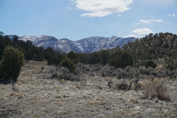 Listing Image #3 - Land for sale at 30220 and Road H, Cortez CO 81321