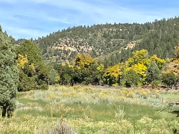 Listing Image #1 - Land for sale at TBD Road 46, Mancos CO 81328