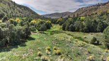 Land property for sale in Mancos, CO