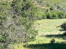 Listing Image #3 - Land for sale at TBD Road 46, Mancos CO 81328