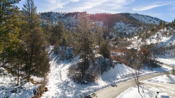 Listing Image #2 - Land for sale at TBD Scout Ridge Road, Durango CO 81301