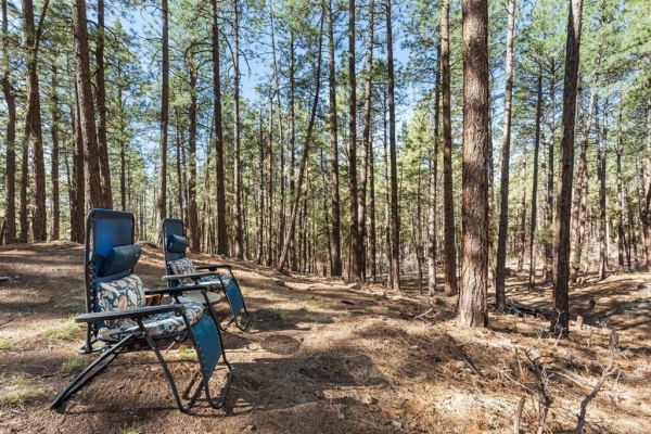 Listing Image #3 - Land for sale at 110 Elk Drive, Bayfield CO 81122