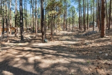 Land for sale in Bayfield, CO