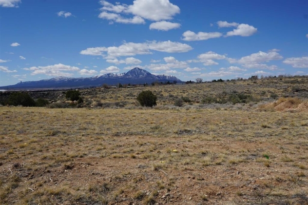 Listing Image #1 - Land for sale at TBD Bluffs, Cortez CO 81321