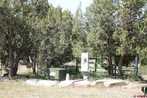 Listing Image #1 - Land for sale at 21769 Road V, Lewis CO 81327