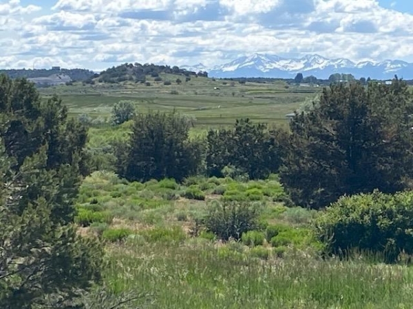 Listing Image #2 - Land for sale at 21769 Road V, Lewis CO 81327
